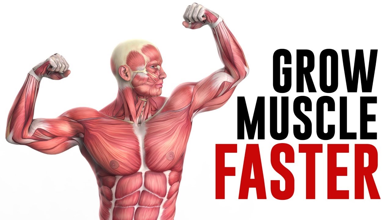 Promote Cell Growth Faster So Buy Ultima-HGH Kit 10IU